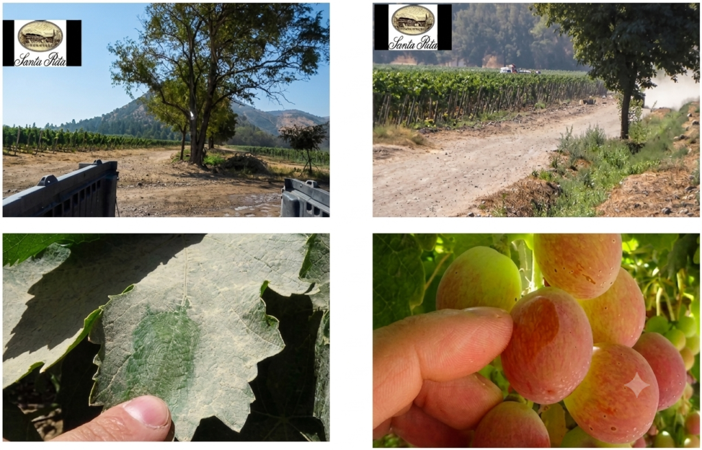 APLICACIONES EN TERRENO agricola